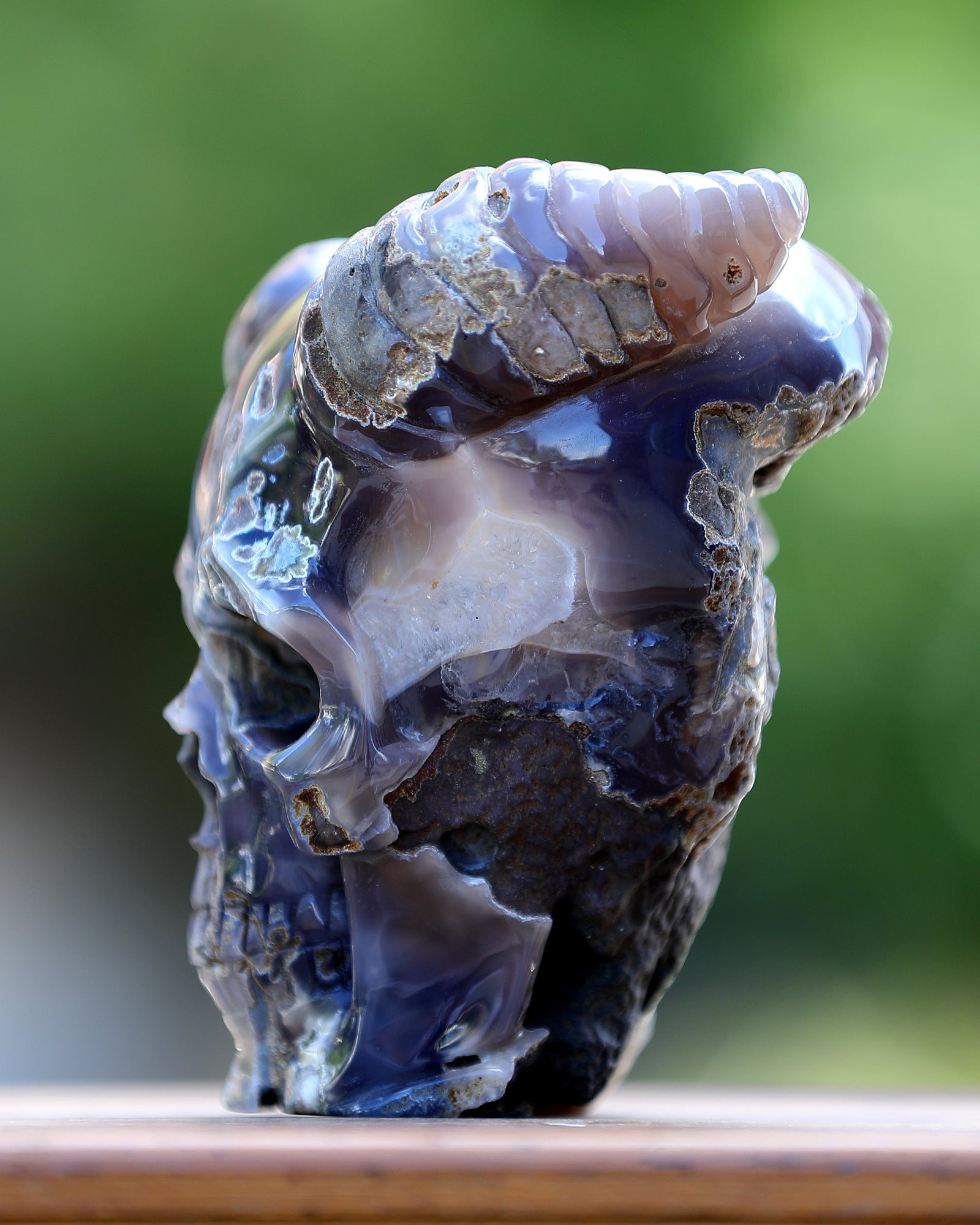 Nicedony 6.0" Quartz Rock Druse Hand Carved Geode Skull with Horn - View 8