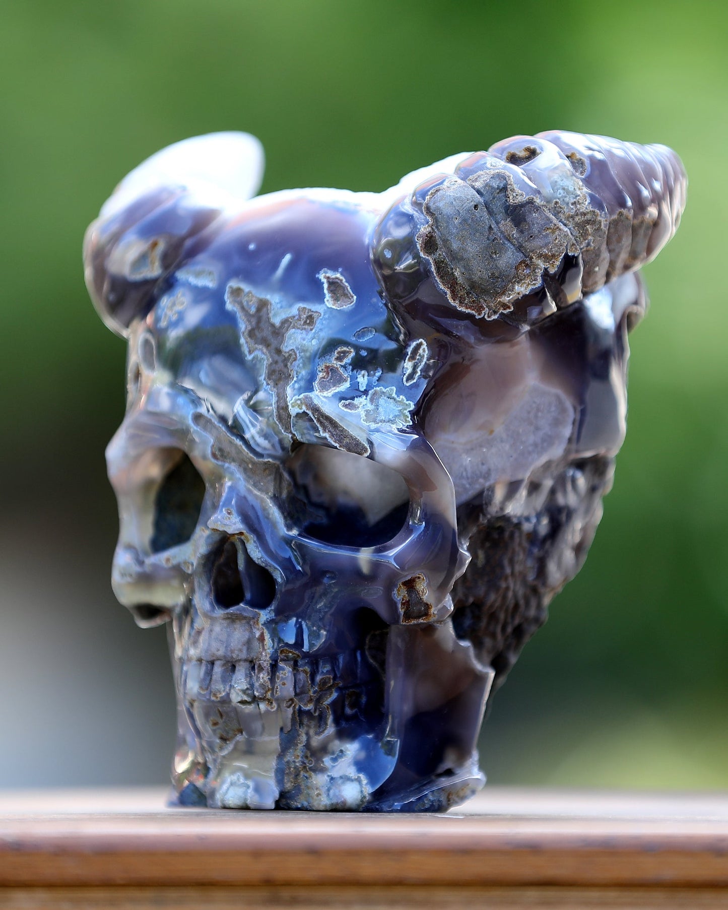 Nicedony 6.0" Quartz Rock Druse Hand Carved Geode Skull with Horn