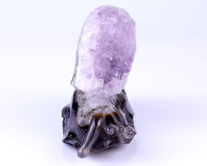 Nicedony 6.3" Amethyst Druse Agate Hand Carved Snail Sculpture - View 4