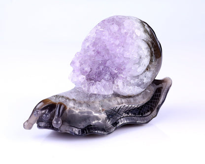 Nicedony 6.3" Amethyst Druse Agate Hand Carved Snail Sculpture