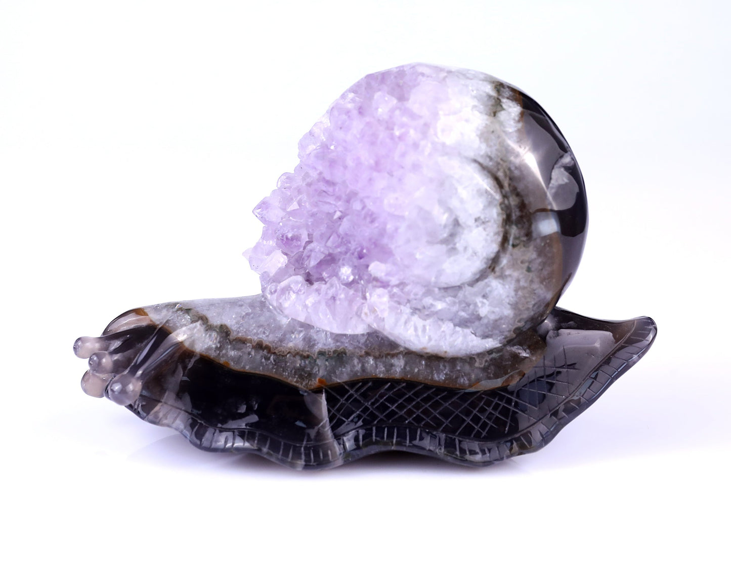 Nicedony 6.3" Amethyst Druse Agate Hand Carved Snail Sculpture - View 2