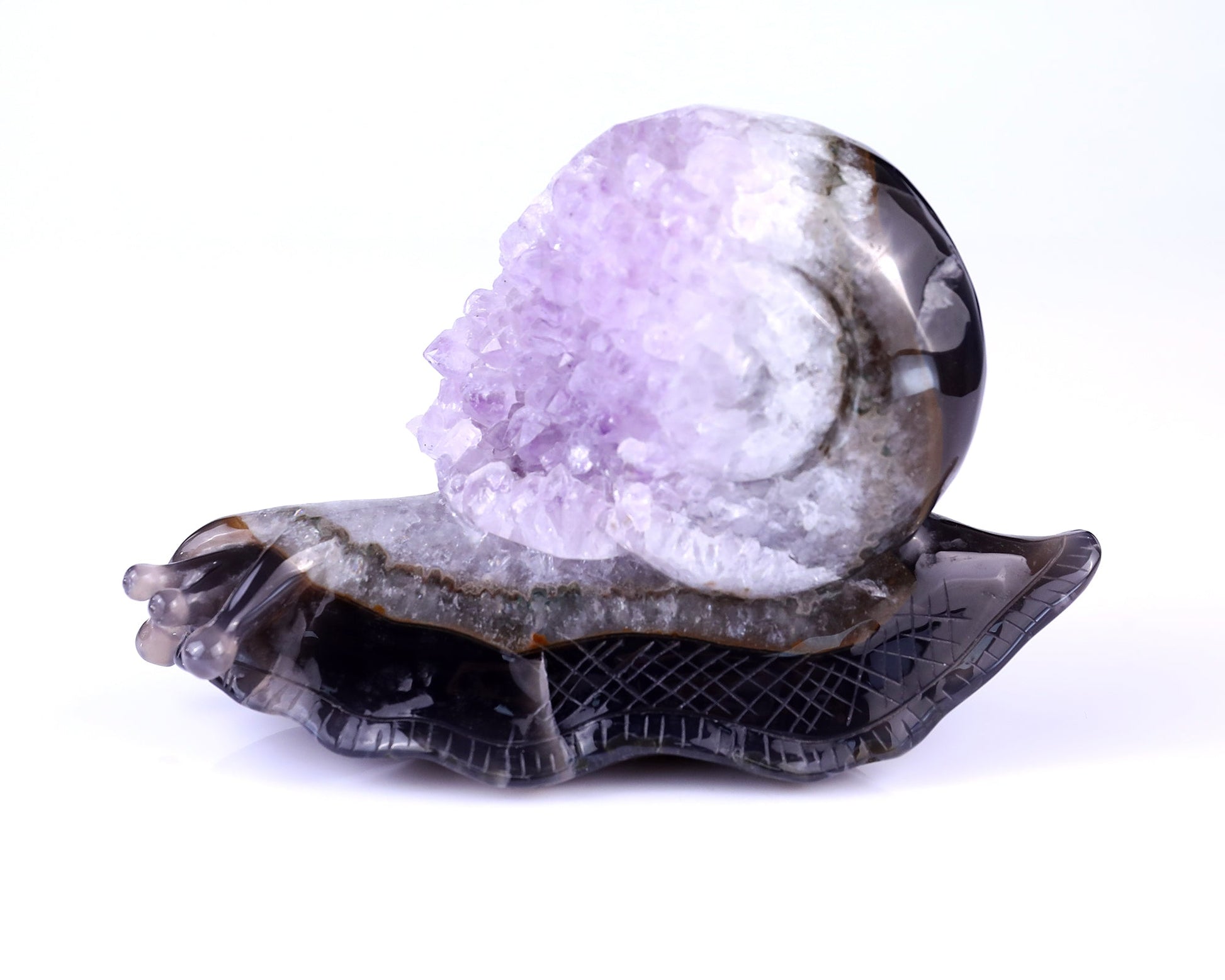 Nicedony 6.3" Amethyst Druse Agate Hand Carved Snail Sculpture - View 2
