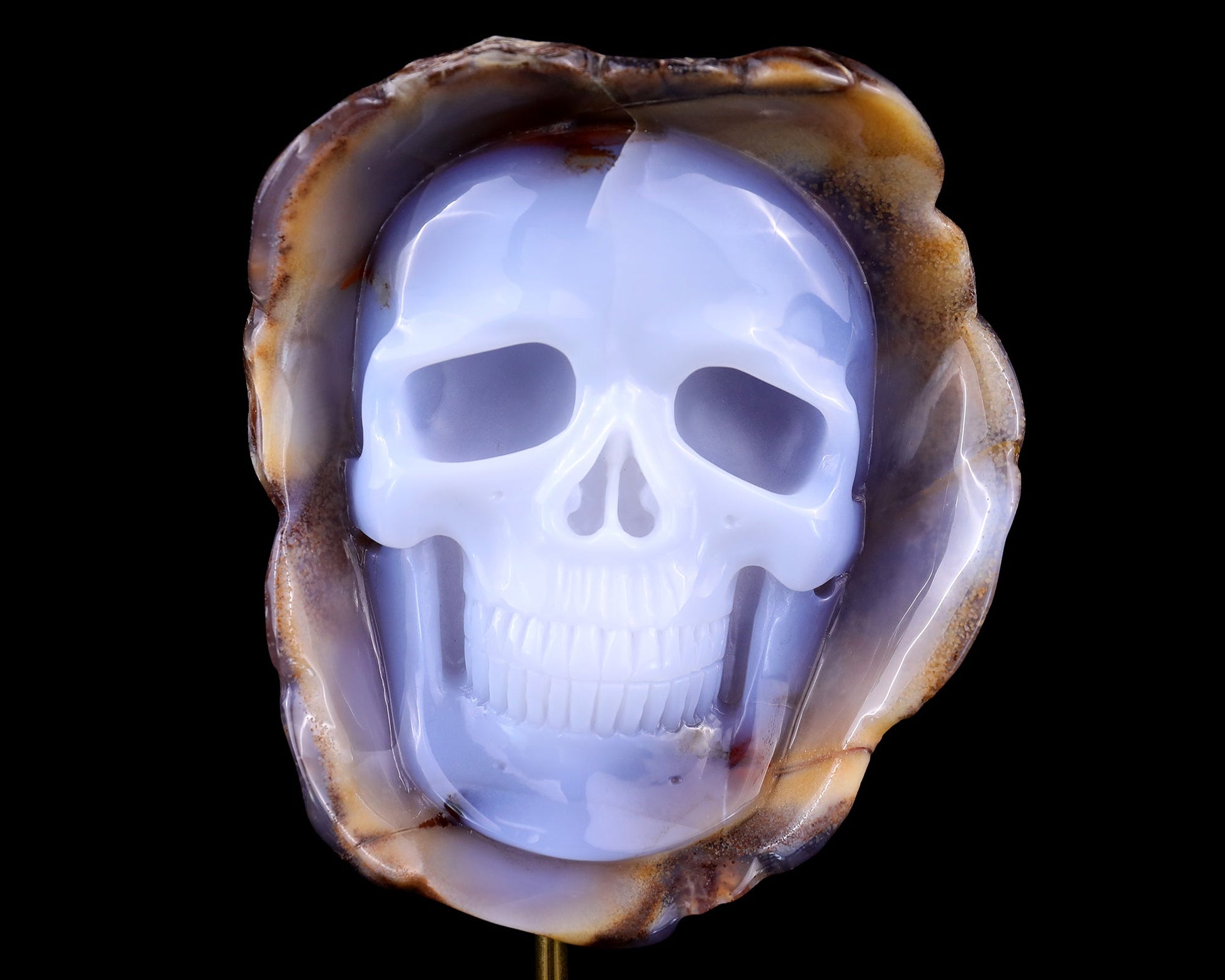 Nicedony 6.4" Blue Chalcedony Hand Carved Skull Sculpture - View 2