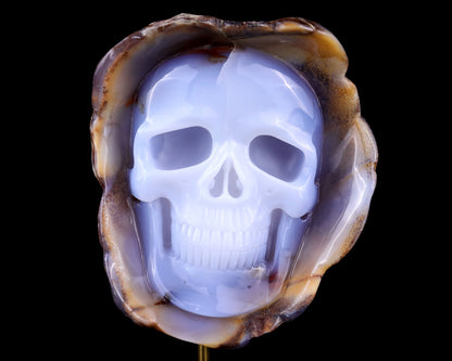 Nicedony 6.4" Blue Chalcedony Hand Carved Skull Sculpture - View 2