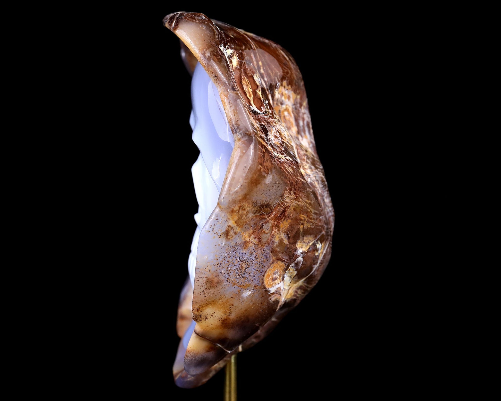 Nicedony 6.4" Blue Chalcedony Hand Carved Skull Sculpture - View 5