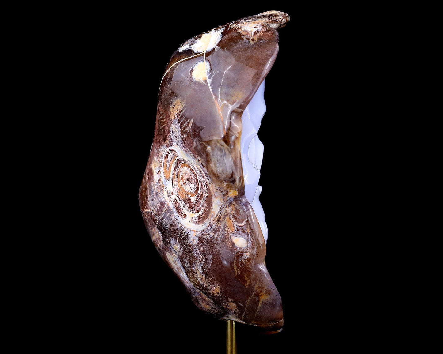 Nicedony 6.4" Blue Chalcedony Hand Carved Skull Sculpture - View 4