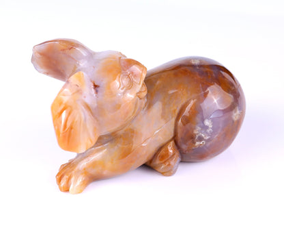 Nicedony 6.4" Chalcedony Hand Carved Crystal Koala Sculpture - View 10
