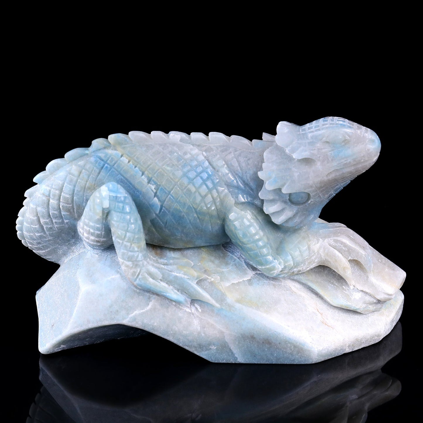 Nicedony 6.5" Amazonite Hand Carved Crystal Lizard Sculpture - View 4