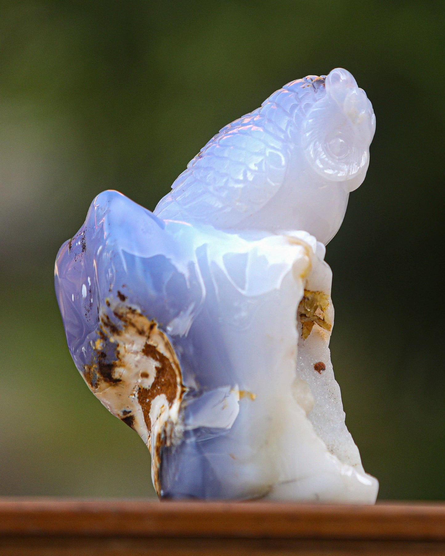 Nicedony 6.5" Blue Chalcedony Hand Carved Crystal Owl Sculpture - View 4
