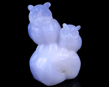Nicedony 6.5" Blue Chalcedony Hand Carved Crystal Owls Sculpture