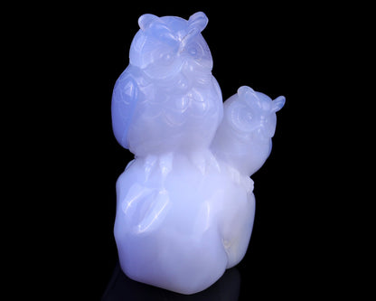 Nicedony 6.5" Blue Chalcedony Hand Carved Crystal Owls Sculpture - View 3