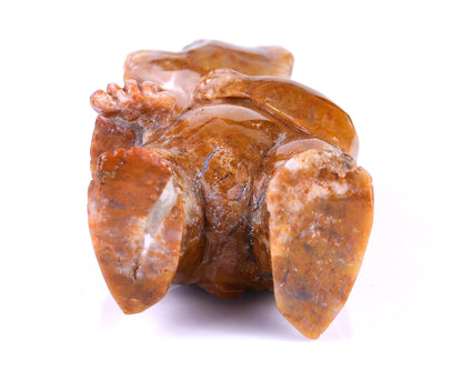 Nicedony 6.5" Chalcedony Hand Carved Crystal Bear Sculpture - View 6