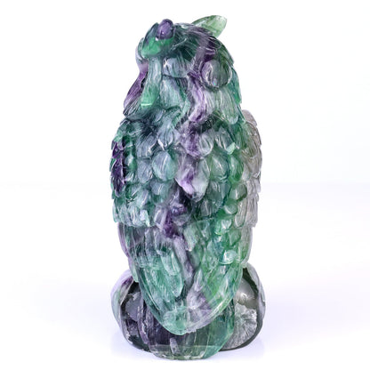 Nicedony 6.5" Fluorite Hand Carved Crystal Owl Sculpture - View 5