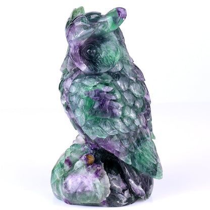 Nicedony 6.5" Fluorite Hand Carved Crystal Owl Sculpture - View 4