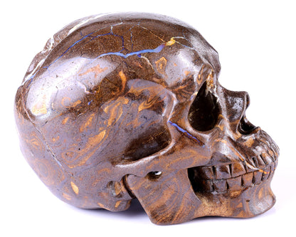Nicedony 6.5" Opal Hand Carved Crystal Realistic Skull Sculpture - View 5