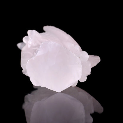 Nicedony 6.7" Rose Quartz Hand Carved Crystal Parrot Sculpture - View 13