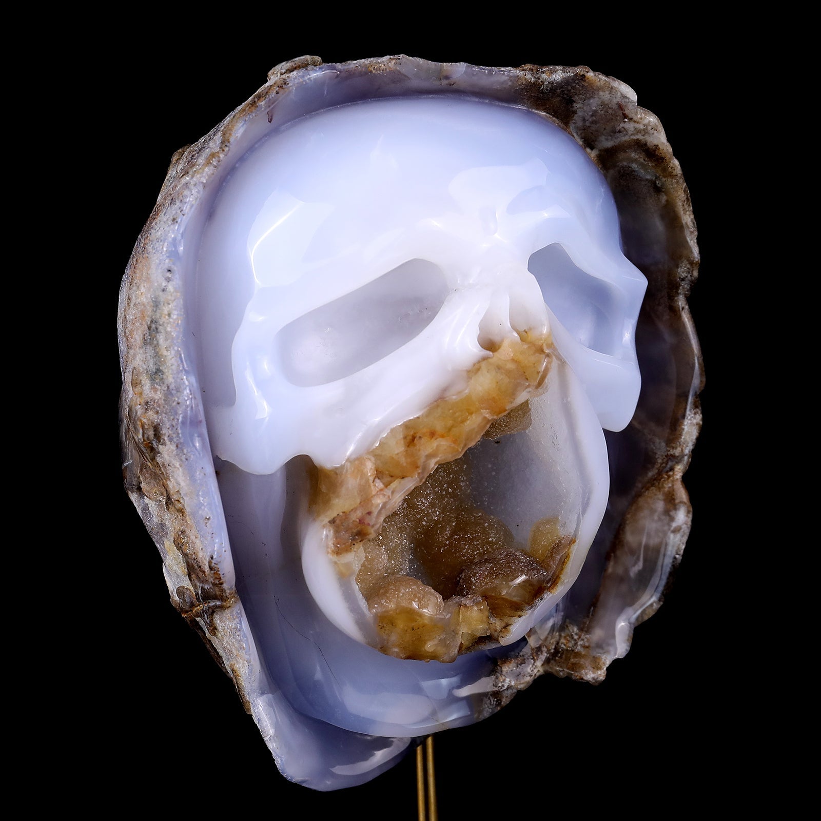 Nicedony 6.9" Blue Chalcedony Hand Carved Skull Sculpture