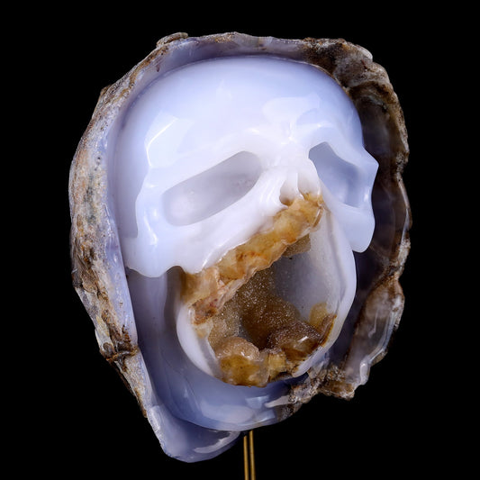 Nicedony 6.9" Blue Chalcedony Hand Carved Skull Sculpture