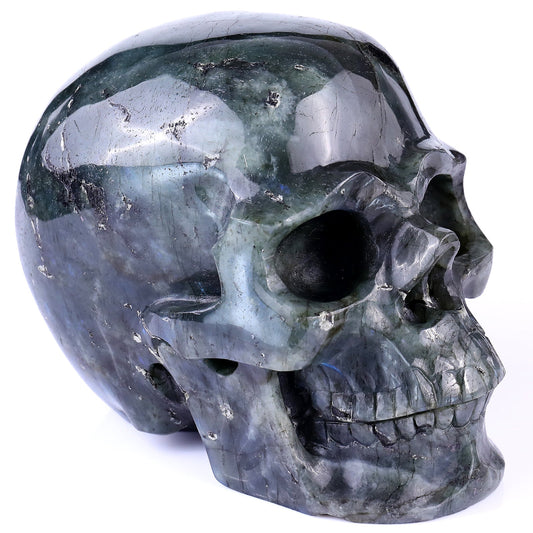 Nicedony 6.9" Blue Labradorite Hand Carved Realistic Skull Sculpture