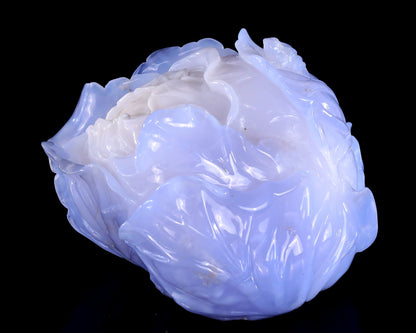 Nicedony 6.9" Natural Blue Chalcedony Hand Carved Crystal Cabbage Sculpture - View 4