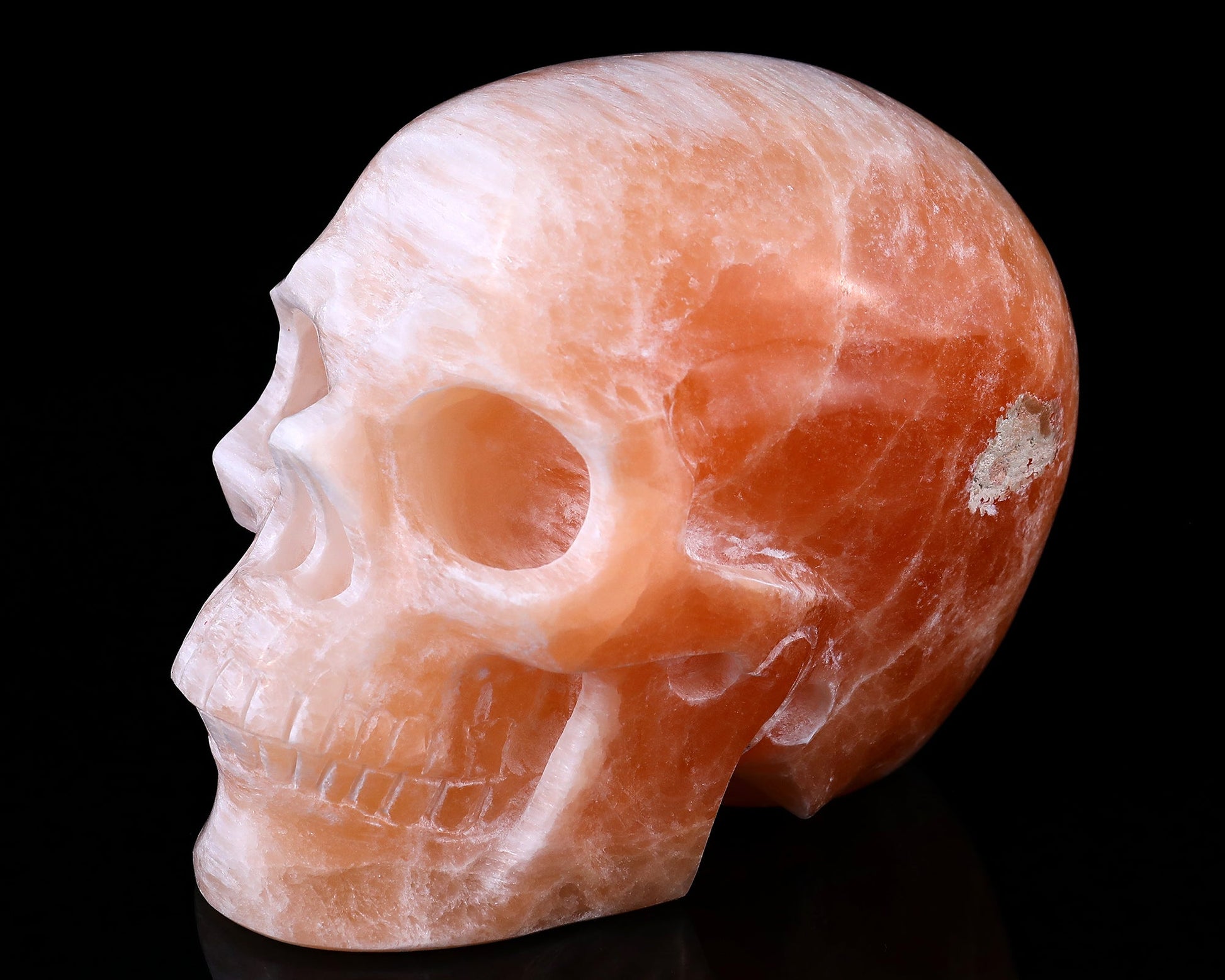 Nicedony 6.9" Orange Selenite Hand Carved Realistic Skull Sculpture - View 7