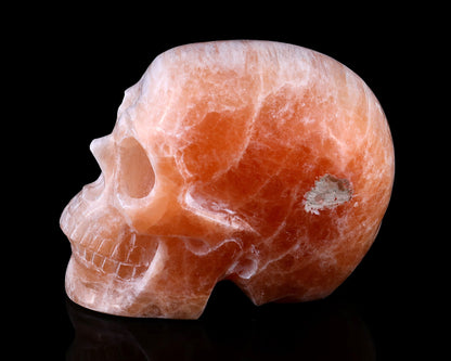 Nicedony 6.9" Orange Selenite Hand Carved Realistic Skull Sculpture - View 4