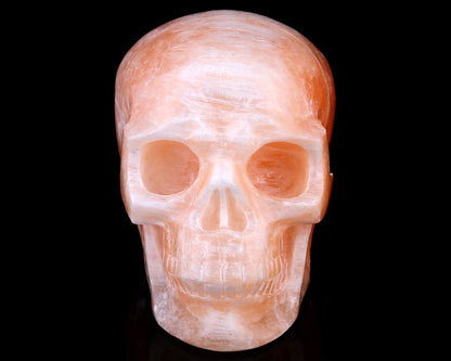 Nicedony 6.9" Orange Selenite Hand Carved Realistic Skull Sculpture - View 2