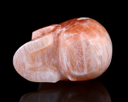 Nicedony 6.9" Orange Selenite Hand Carved Realistic Skull Sculpture - View 6