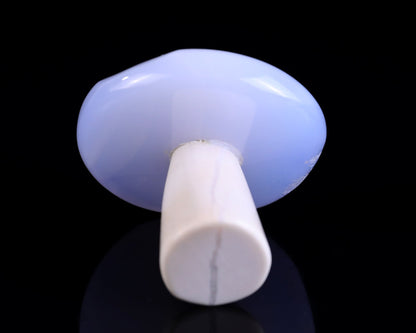Nicedony 60mm Blue Chalcedony Hand Carved Crystal Mushroom Sculpture - View 5
