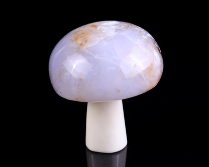 Nicedony 66mm Blue Chalcedony Hand Carved Crystal Mushroom Sculpture - View 2