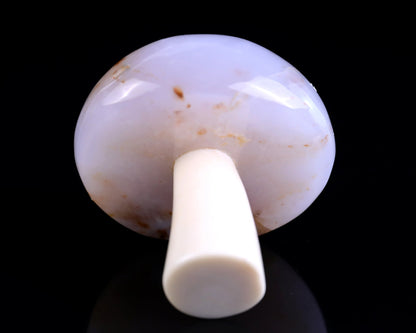 Nicedony 66mm Blue Chalcedony Hand Carved Crystal Mushroom Sculpture - View 4