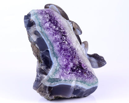 Nicedony 7.1" Amethyst Druse Agate Hand Carved Lizard Sculpture - View 3