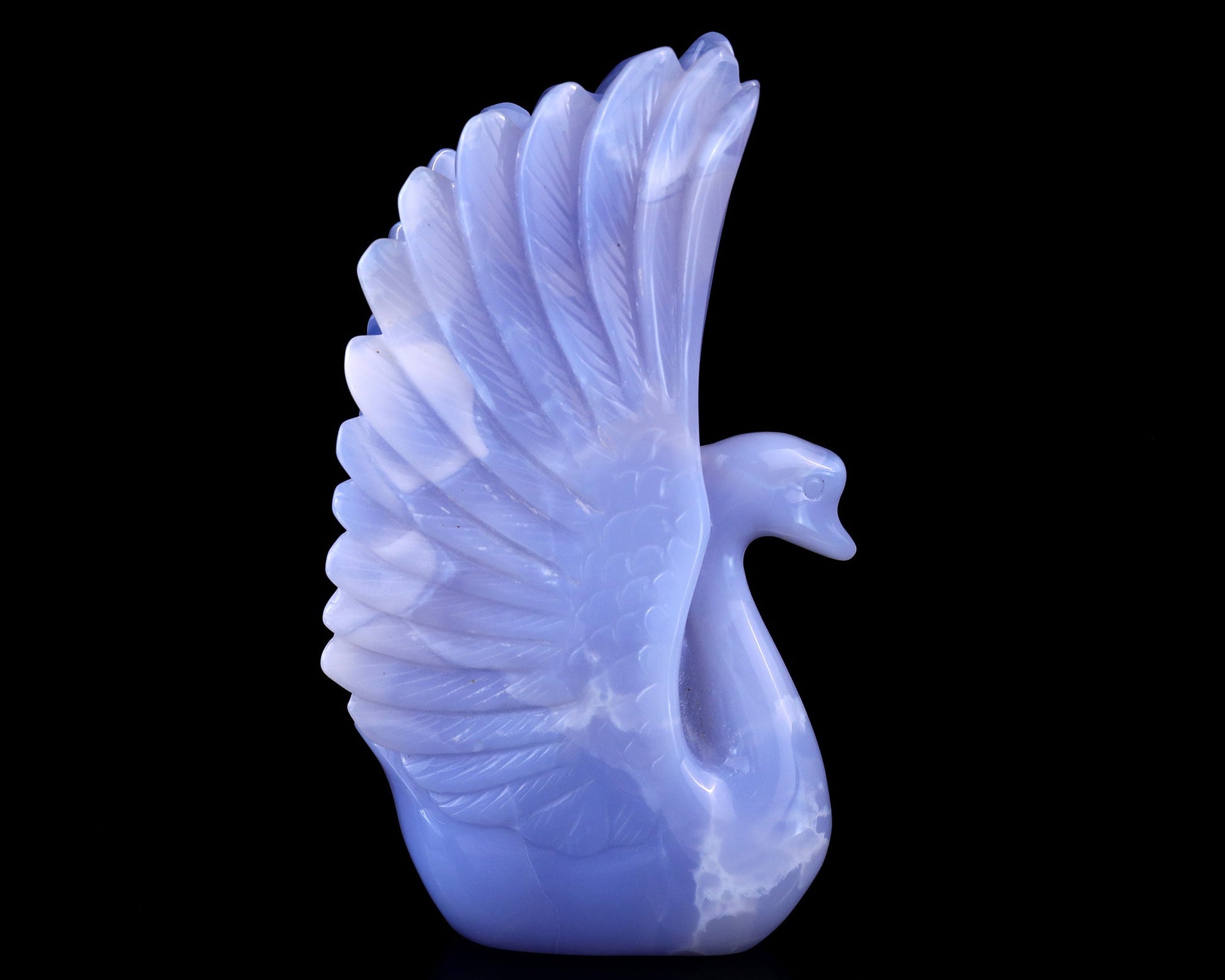 Nicedony 7.1"  Blue Chalcedony Hand Carved Crystal Swan Sculpture
