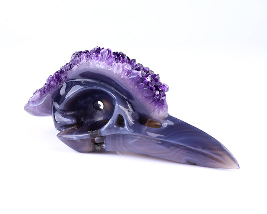 Nicedony 7.2" Amethyst Druse Agate Hand Carved Crystal Geode Raven Skull Sculpture