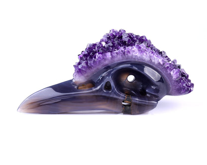 Nicedony 7.2" Amethyst Druse Agate Hand Carved Crystal Geode Raven Skull Sculpture - View 3
