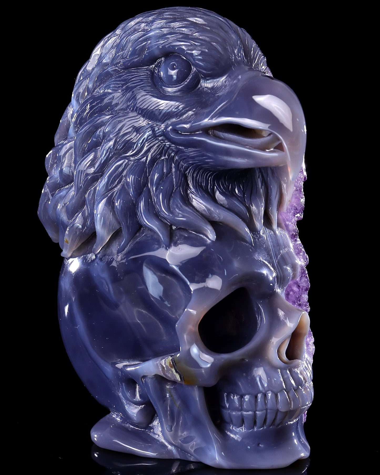 Nicedony Unique 7.2" Amethyst Druse Agate Hand Carved Mineral Specimen Skull and Eagle Sculpture