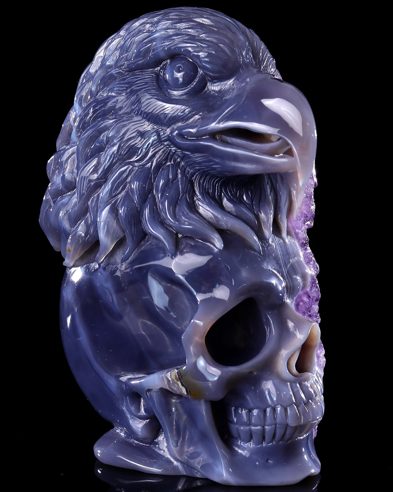 Nicedony Unique 7.2" Amethyst Druse Agate Hand Carved Mineral Specimen Skull and Eagle Sculpture