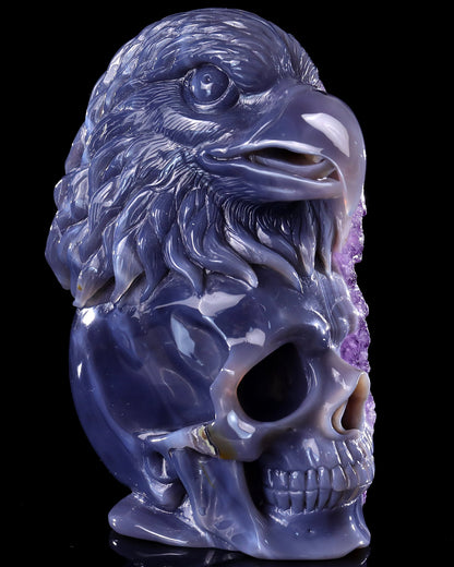 Nicedony Unique 7.2" Amethyst Druse Agate Hand Carved Mineral Specimen Skull and Eagle Sculpture