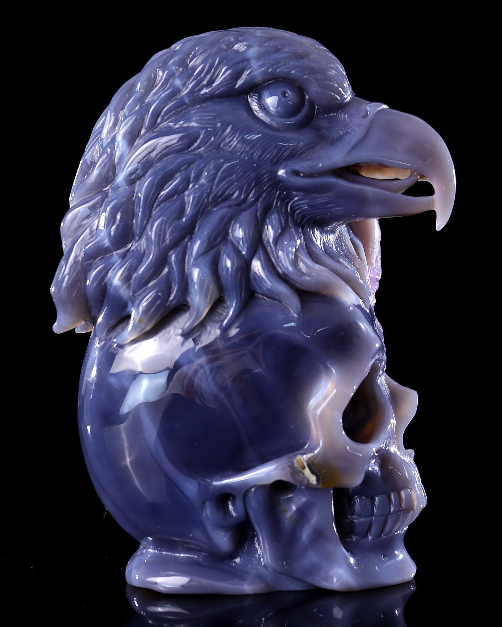 Nicedony Unique 7.2" Amethyst Druse Agate Hand Carved Mineral Specimen Skull and Eagle Sculpture - View 5