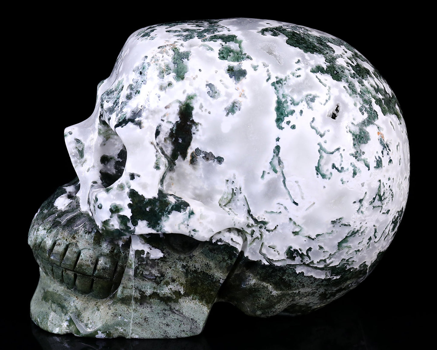 Nicedony 7.3" Moss Agate Hand Carved Realistic Skull Sculpture - View 5