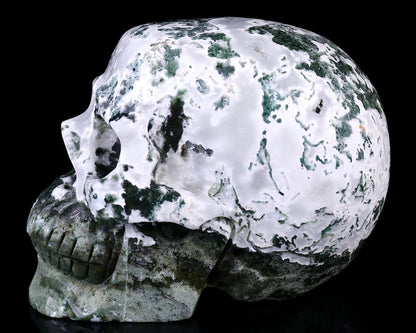 Nicedony 7.3" Moss Agate Hand Carved Realistic Skull Sculpture - View 5