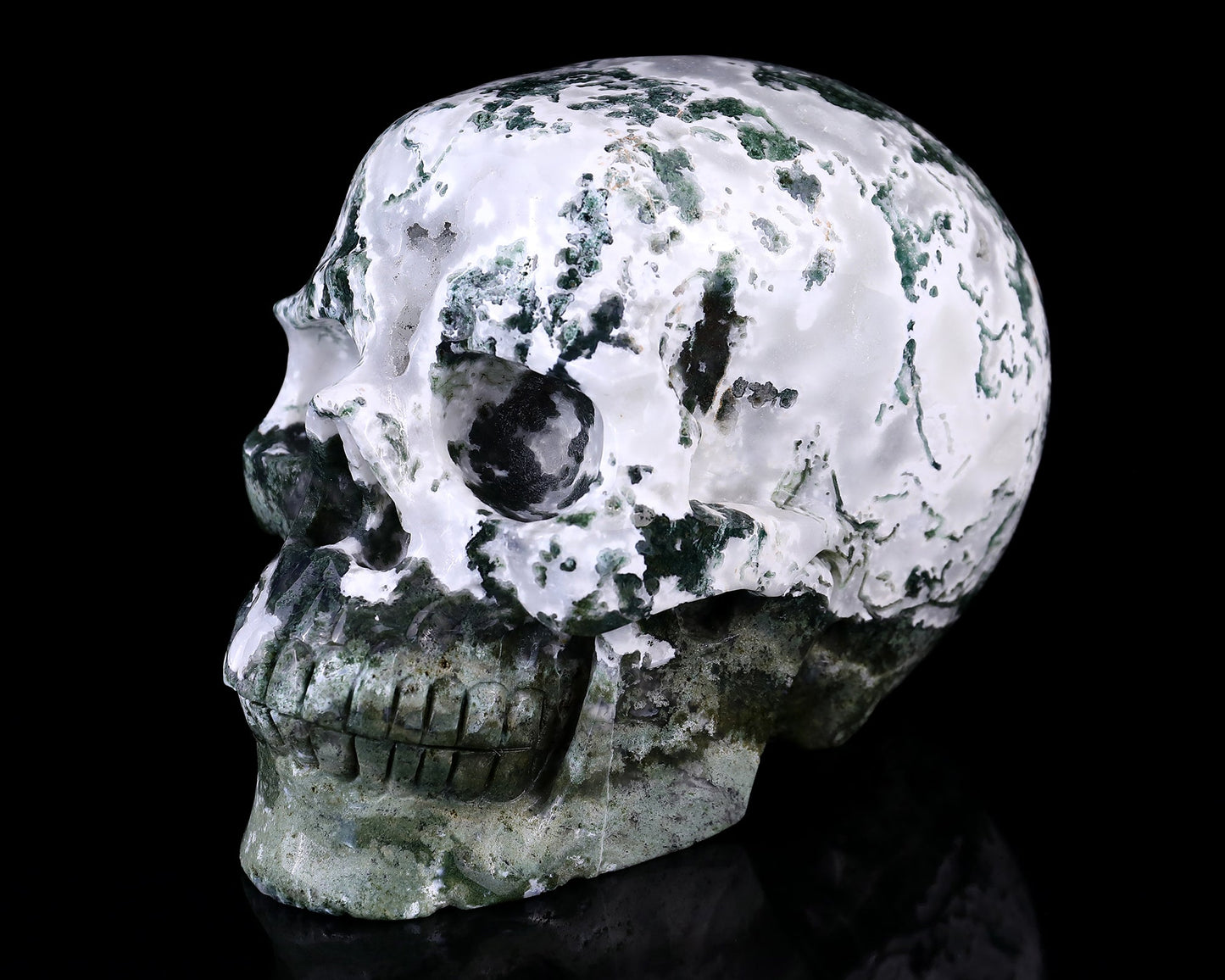 Nicedony 7.3" Moss Agate Hand Carved Realistic Skull Sculpture