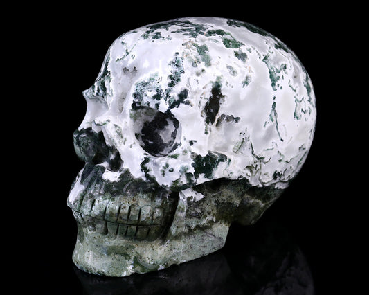 Nicedony 7.3" Moss Agate Hand Carved Realistic Skull Sculpture