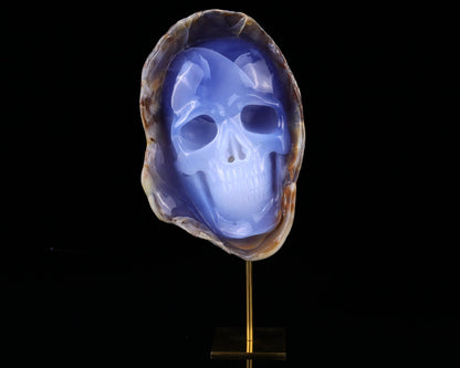 Nicedony 7.5" Blue Chalcedony Hand Carved Skull Sculpture - View 3