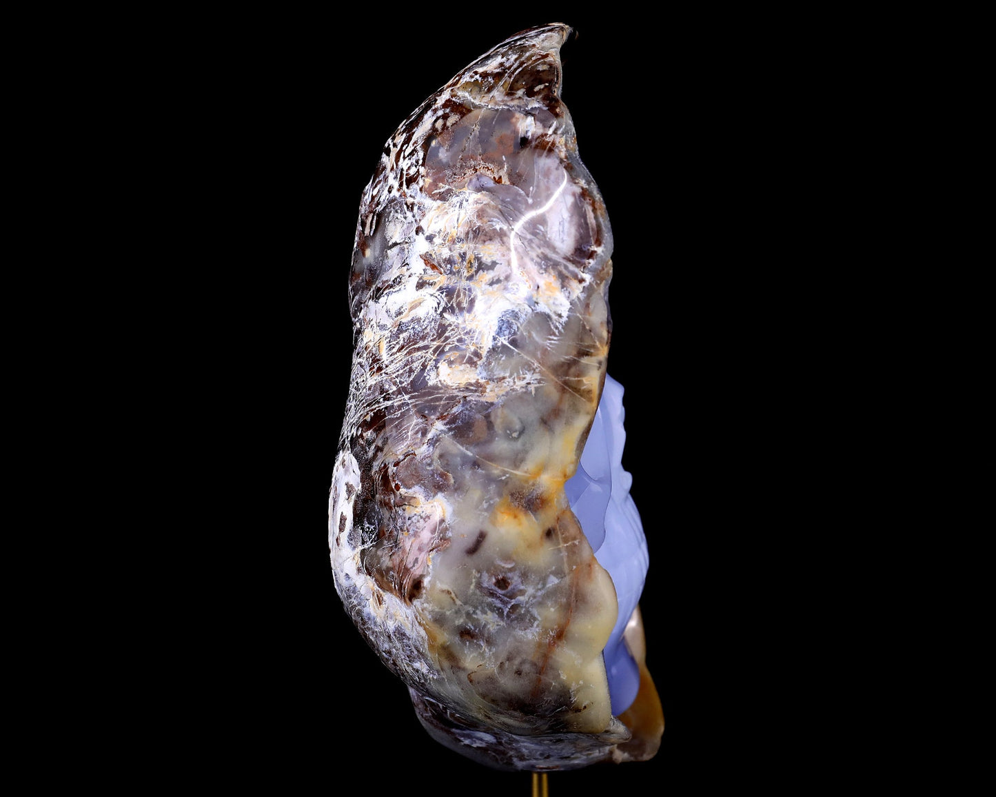 Nicedony 7.5" Blue Chalcedony Hand Carved Skull Sculpture - View 4