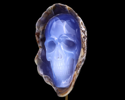 Nicedony 7.5" Blue Chalcedony Hand Carved Skull Sculpture - View 8