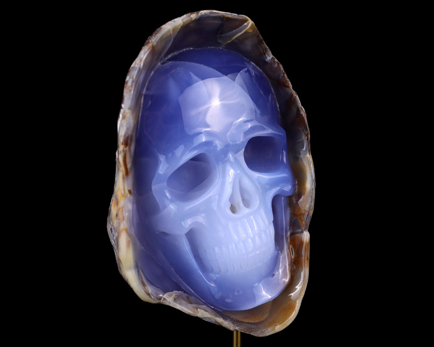 Nicedony 7.5" Blue Chalcedony Hand Carved Skull Sculpture