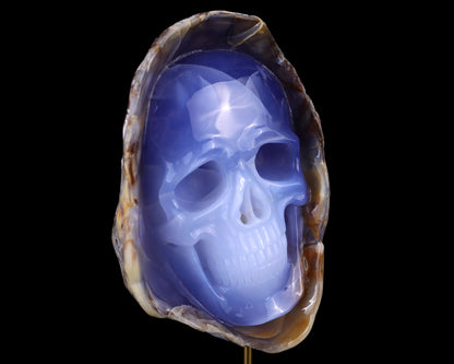 Nicedony 7.5" Blue Chalcedony Hand Carved Skull Sculpture