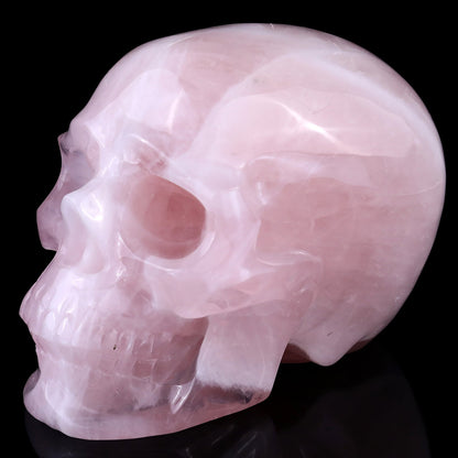 Nicedony 7.6" Rose Quartz Hand Carved Realistic Skull Sculpture - View 7