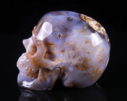 Nicedony 7.7" Blue Chalcedony Hand Carved Realistic Skull Sculpture - View 7